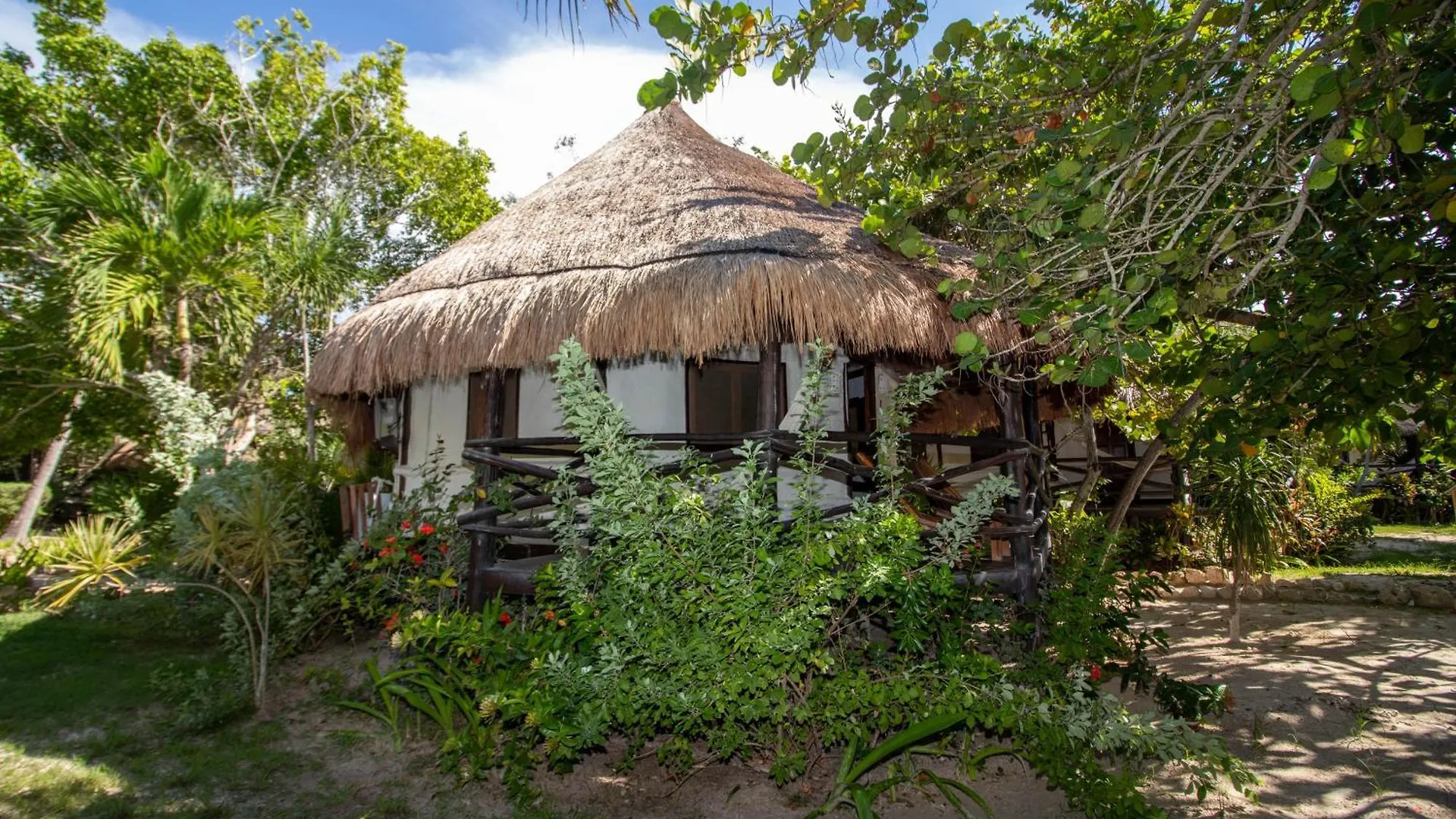 Отель Blue Holbox