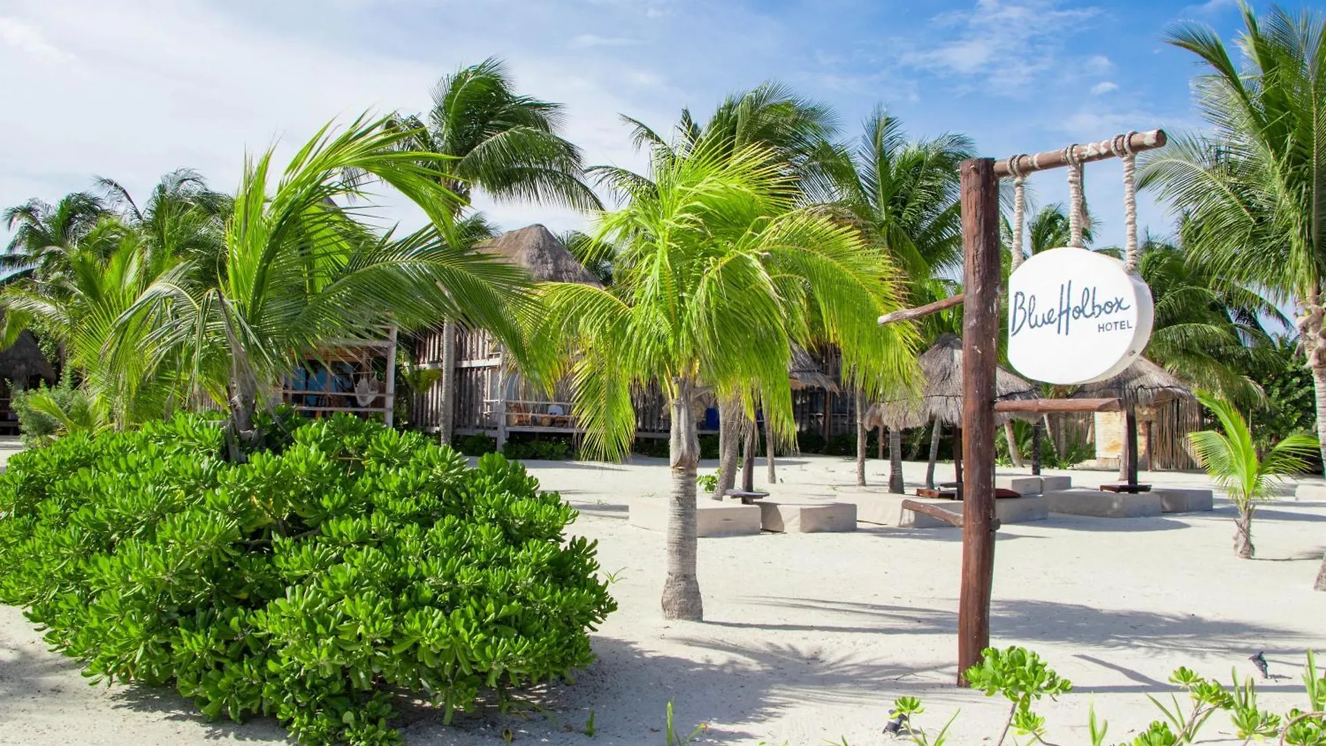 ****  Blue Holbox Hotel Mexico