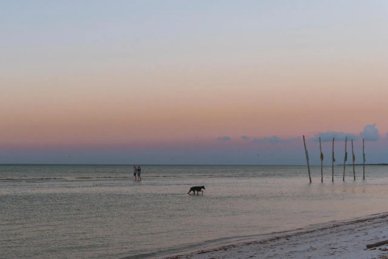 Blue Holbox Hotel 4*, Isla Holbox
