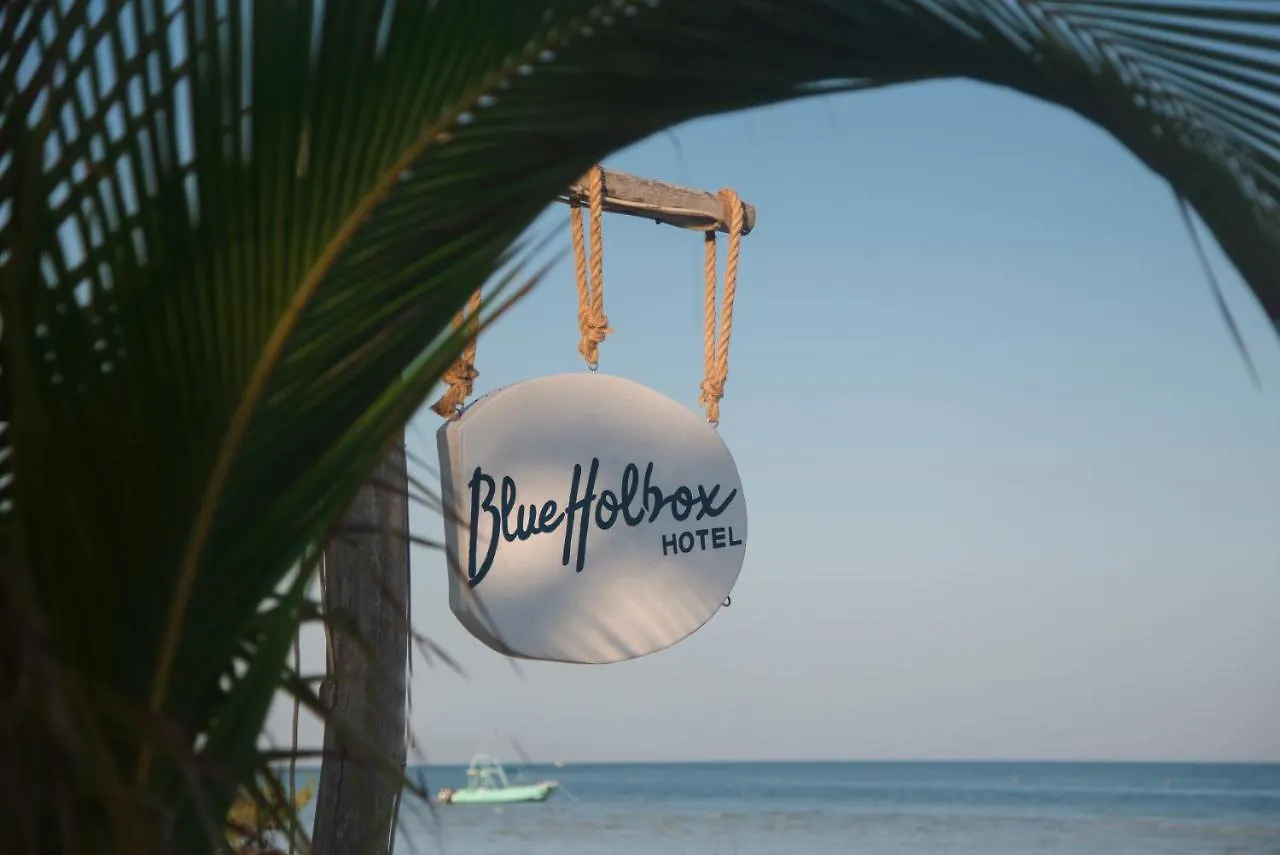 Blue Holbox Hotel